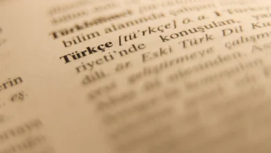السياسة اللغوية التركية