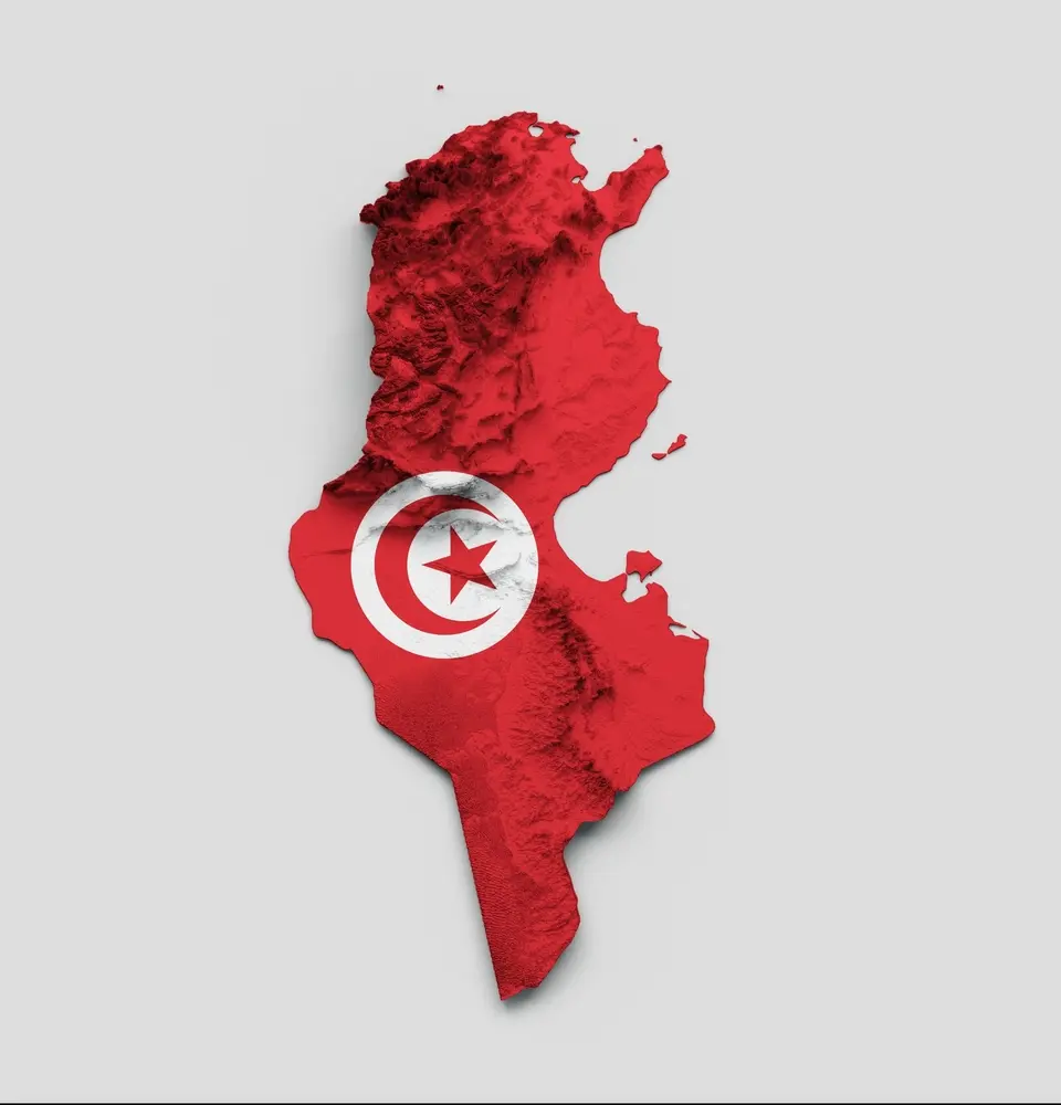النهضة التونسية من النشأة إلى الحكم 01 1 حركة النهضة التونسية من النشأة إلى الحكم (ج2)