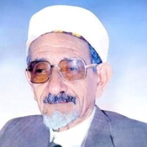 صورة القاضي عبد السلام صبرة