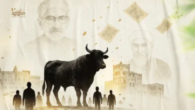 شهادة القاضي عبد السلام صبرة (ج3)