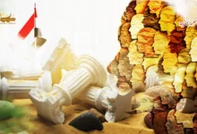 صلاح الدولة من صلاح المجتمع: الوجه الآخر لأزمة اليمن