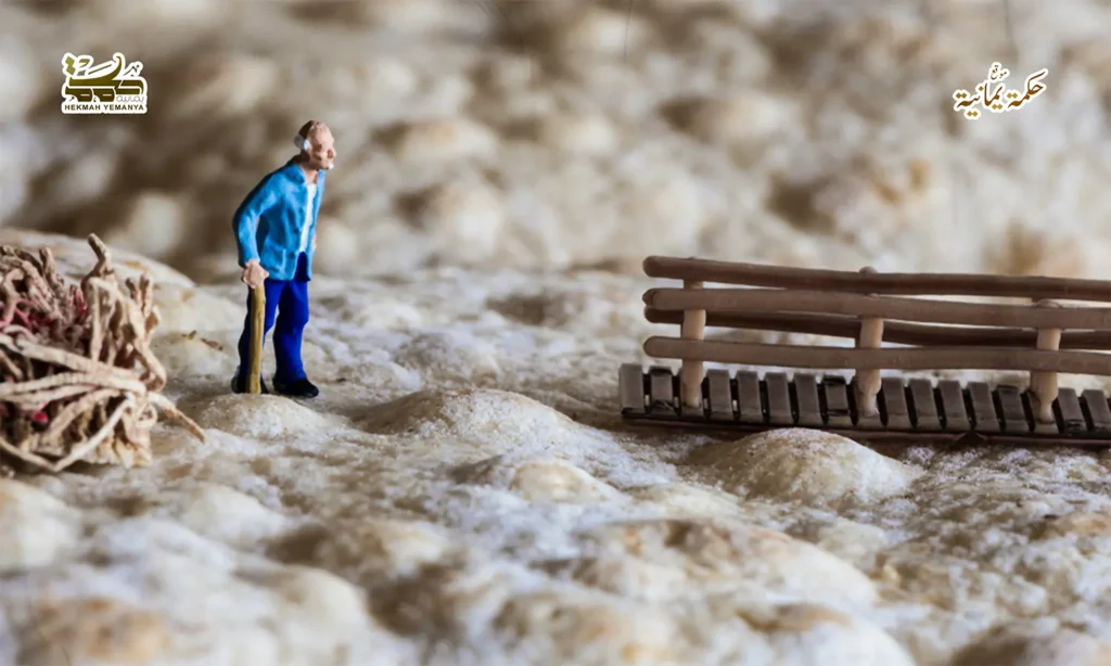 كيف تغيّر التحولات السكانية الاقتصاد العالمي؟ 2 كيف تغيّر التحولات السكانية الاقتصاد العالمي؟