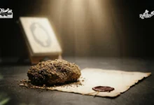 لمَن الأرضُ؟ لمَن الأرضُ؟