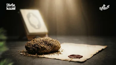 لمَن الأرضُ؟ 71 لمَن الأرضُ؟ لمَن الأرضُ؟