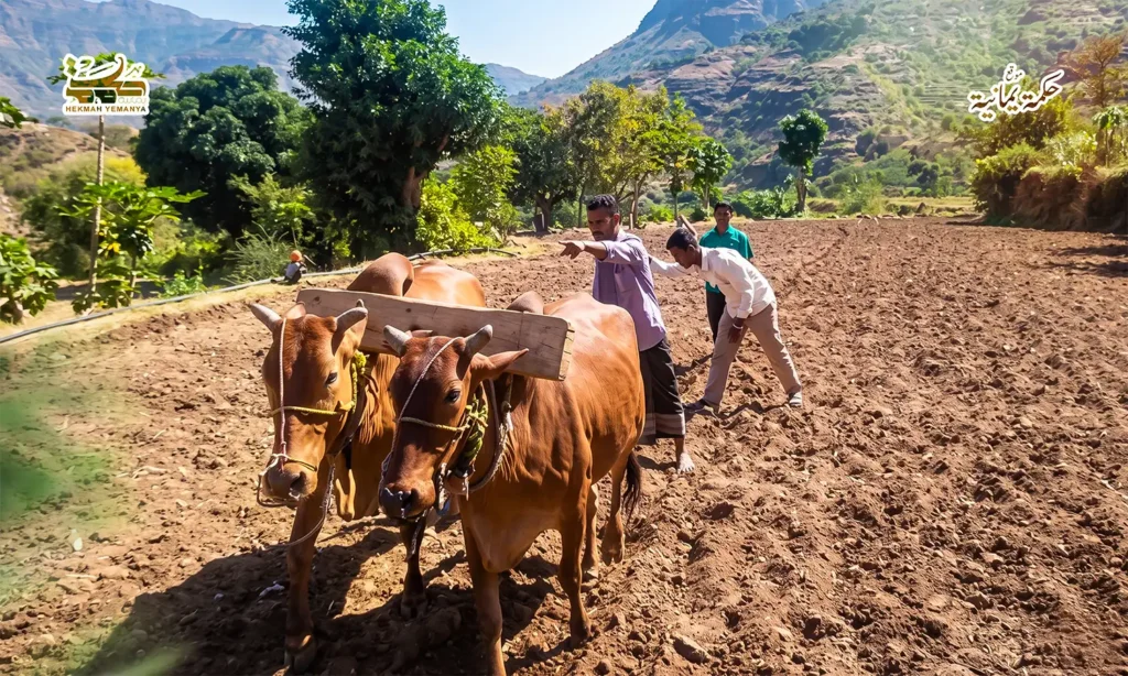 مهاجل الرّوُح والحياة 1 مهاجل الرّوُح والحياة