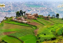 مهاجل الرّوُح والحياة 3 1 مهاجل الرّوُح والحياة