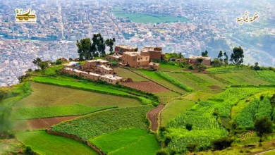 مهاجل الرّوُح والحياة 3 1 مهاجل الرّوُح والحياة