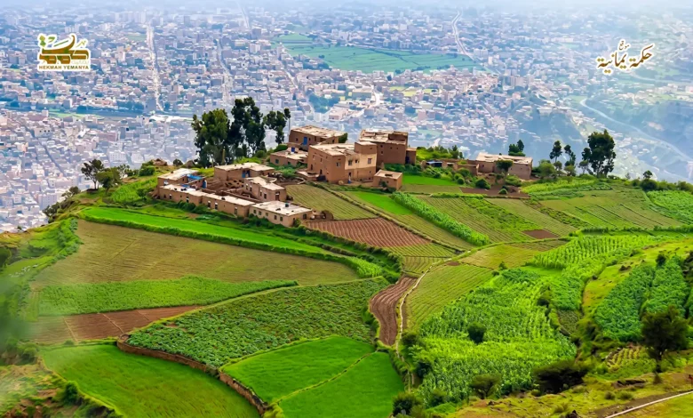 مهاجل الرّوُح والحياة 3 1 مهاجل الرّوُح والحياة